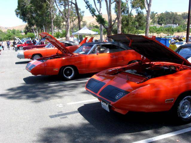 Superbird_001.jpg