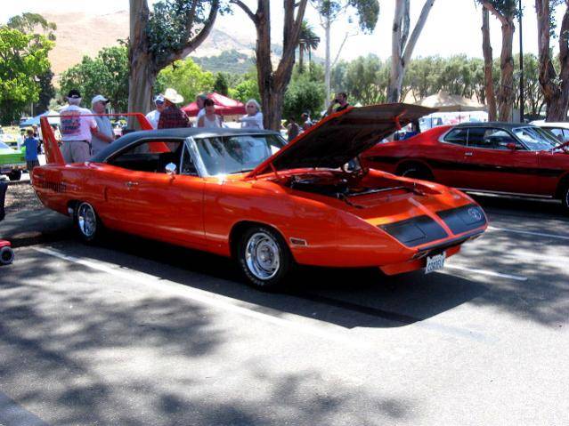 Superbird_002.jpg