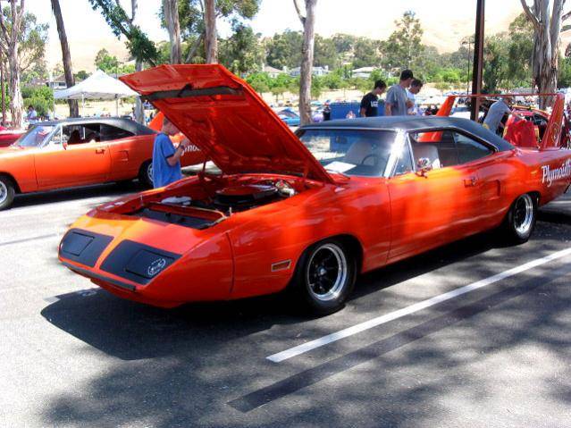 Superbird_004.jpg