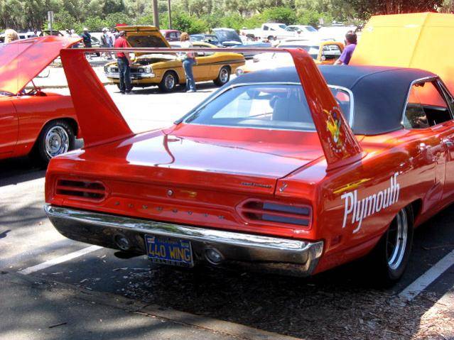 Superbird_005.jpg