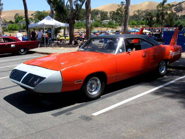 Superbird_006.jpg