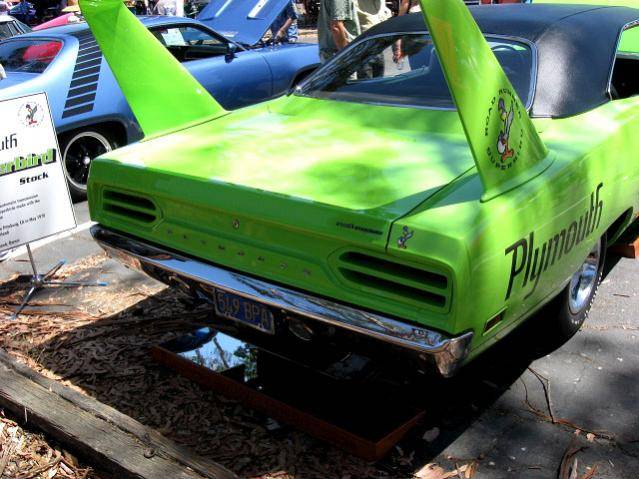 Superbird_011.jpg