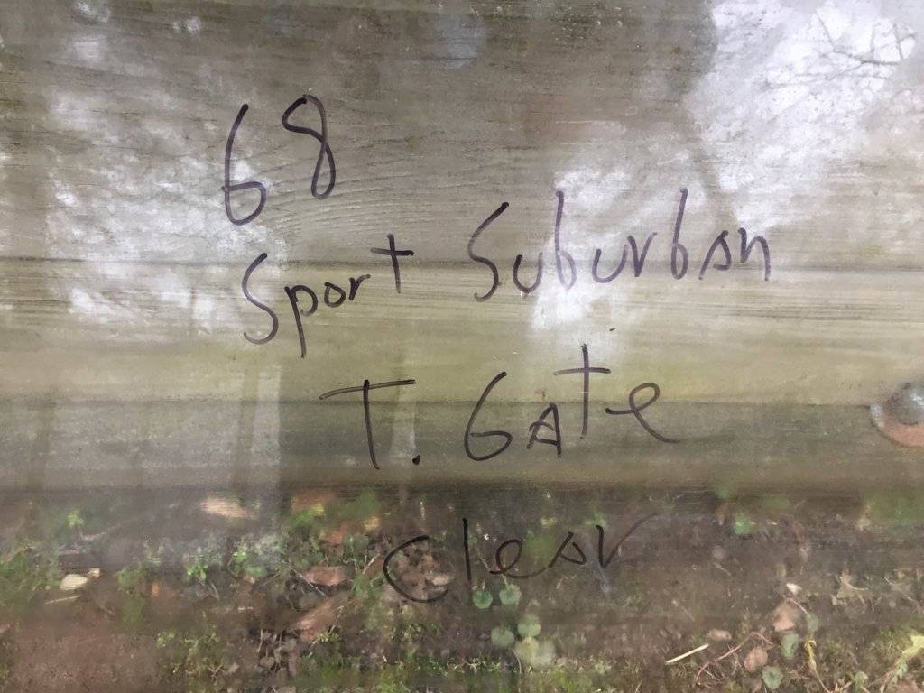 tailgate glass 2.jpg