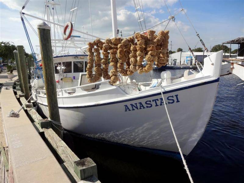 tarpin springs sponge boat (Large).jpg