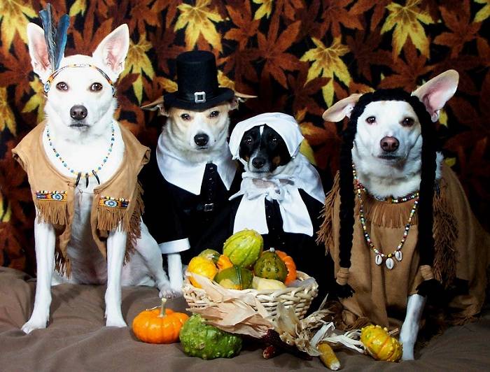 thanksgiving-dogs.jpg