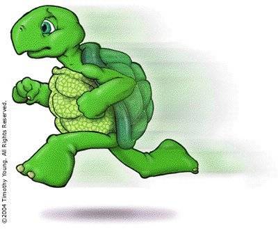 turtle running.jpg