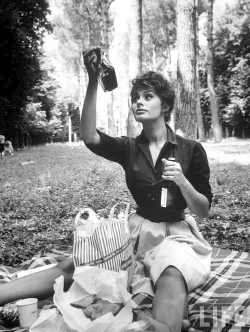 vintage-picnic-snapshot-1960s.jpg