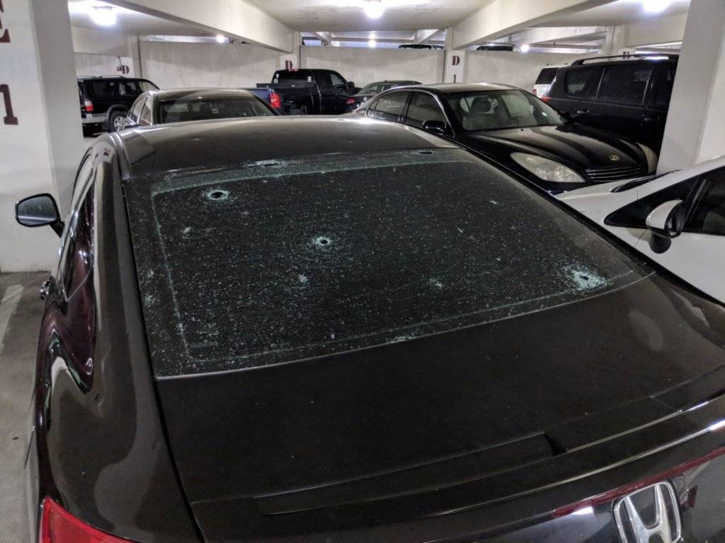 WhatsApp Image 2018-03-23 at 20.14.27.jpeg