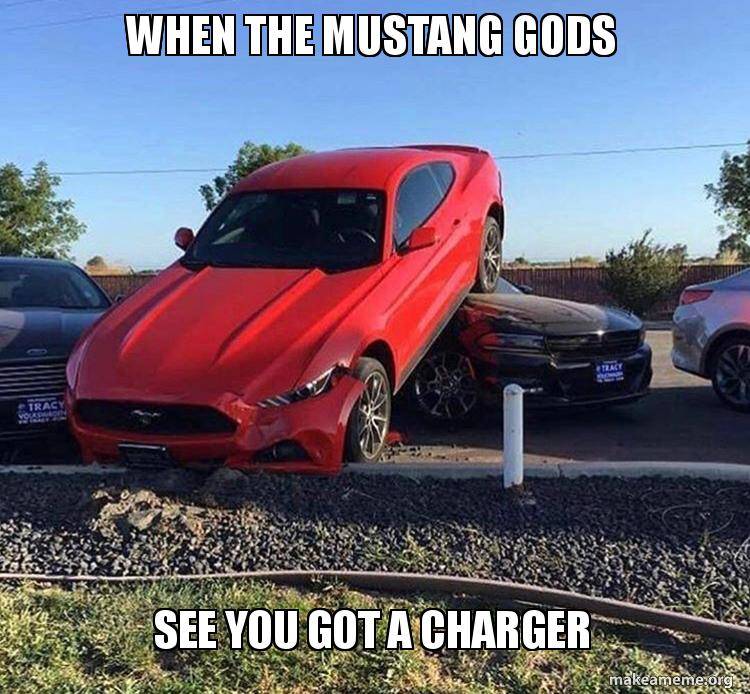 when-the-mustang-5b1dea.jpg