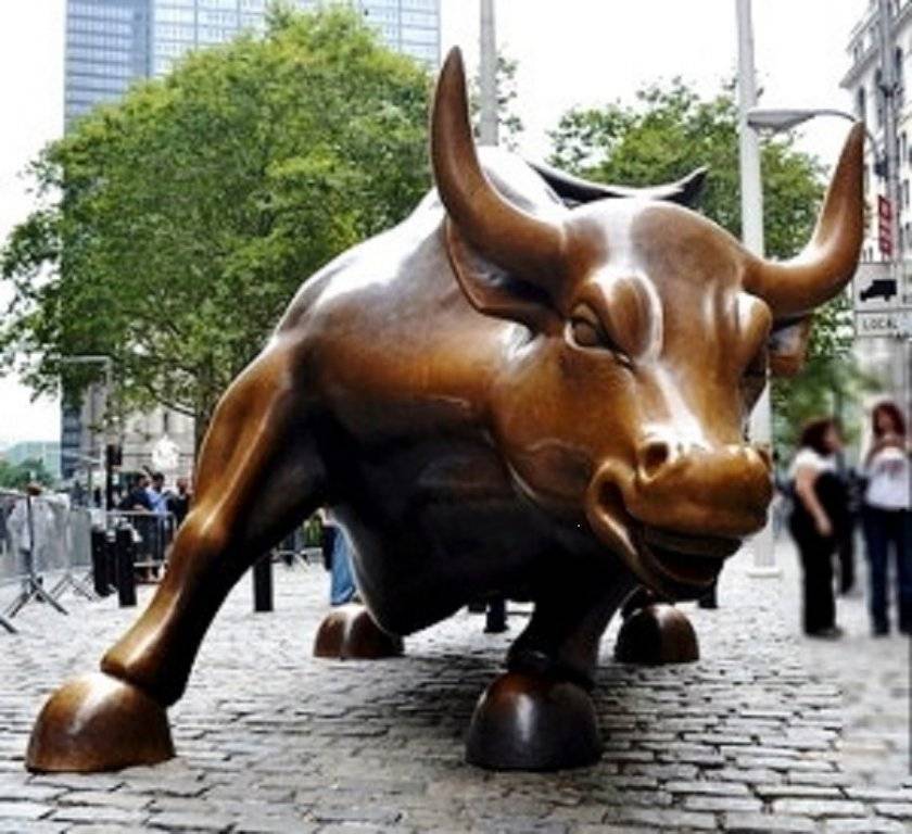 WS Bull 2.jpg