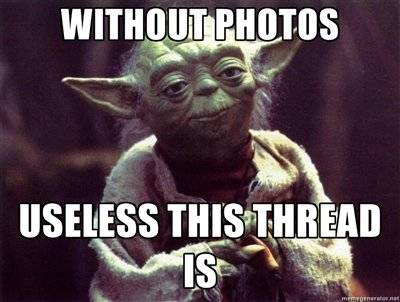 yoda worthless pics.jpg