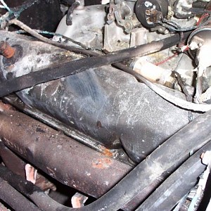 100_2855 (Medium).JPG