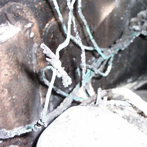 100_2859 (Medium).JPG