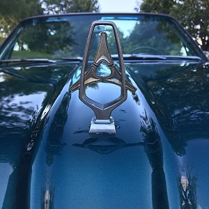 Hood Ornament 2.JPG