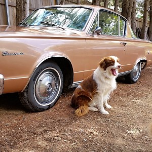 Some Aussie Classics, Some Us Classics, Some Not So Classics