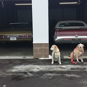 Minnesota Garage Stall Shell Game In January