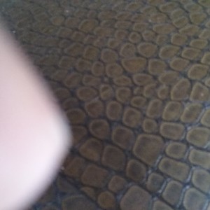 20180122_132502 (1).jpg