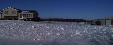 Snow rollers.sm.jpg