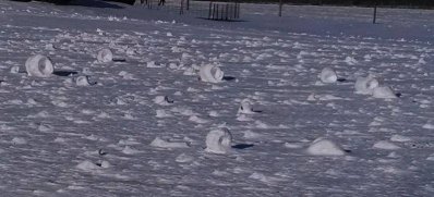 Snow rollers.close u.jpg