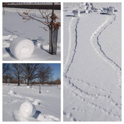 snow rollers2.jpg