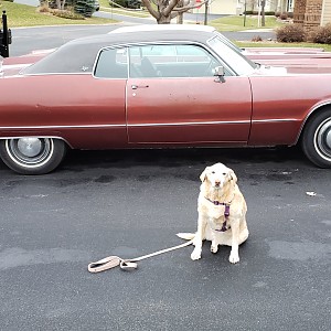 20181123_140037 (1).jpg