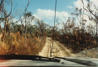 old-telegraph-road.jpg