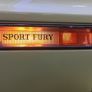 sport fury light.jpg