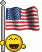 flag_usa.gif