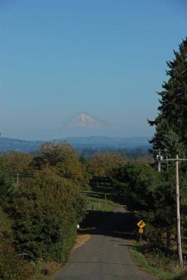 Mt. Hood.jpg