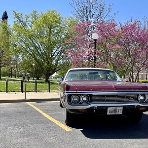 IMG_0339 crop tint.JPG