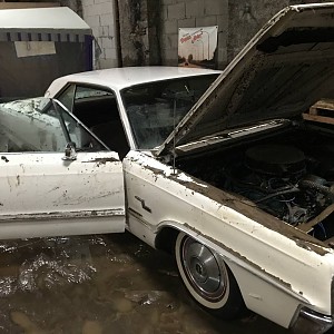 photo_2021-07-15 14.50.01.jpeg