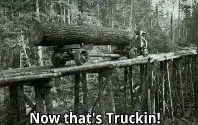 logging truck.jpg