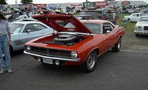 Cuda (21).jpg