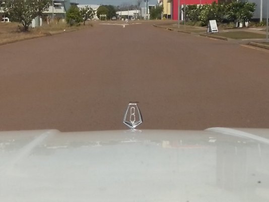 Newport - hood ornament.jpg