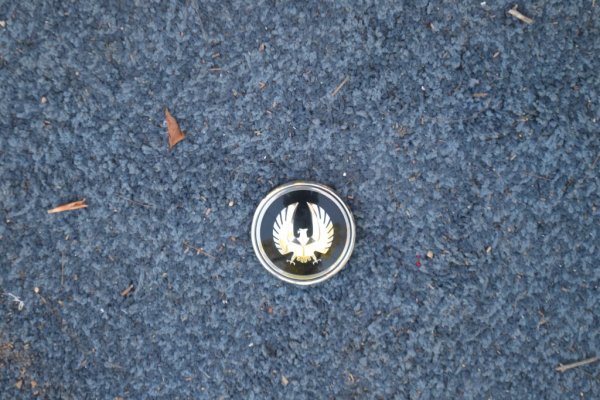 DSC_0062 - Copy (2).JPG