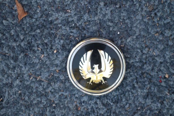 DSC_0063 - Copy (2).JPG