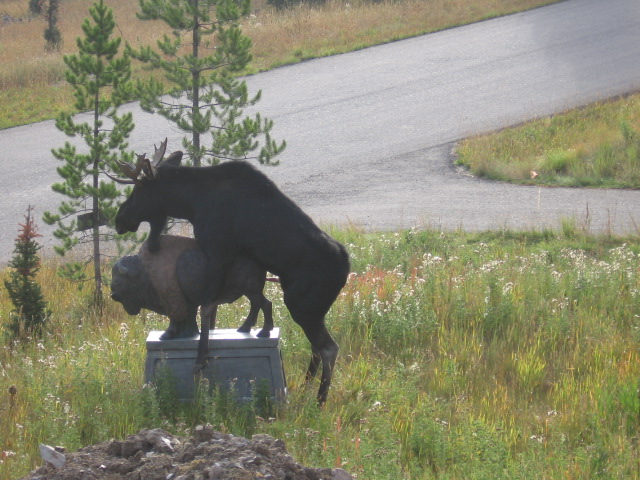 moose-humping-a-statue.jpg