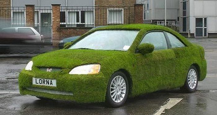 grass-car.jpg