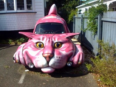 8.-Cat-Car.jpg