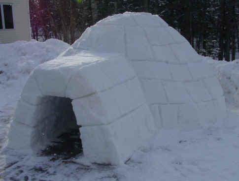 igloo.jpg