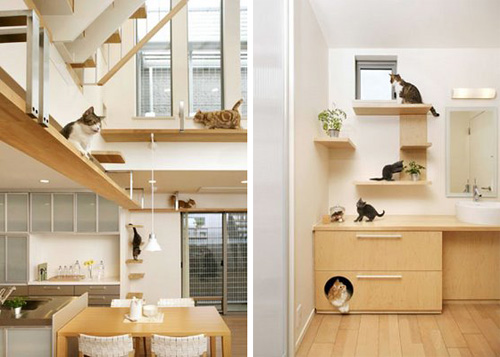 japancathouse1.jpg