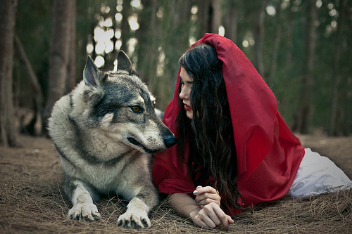 little-red-riding-hood-wolf-2.jpg