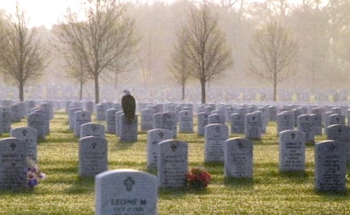 American-Eagle-on-gravestone.jpg