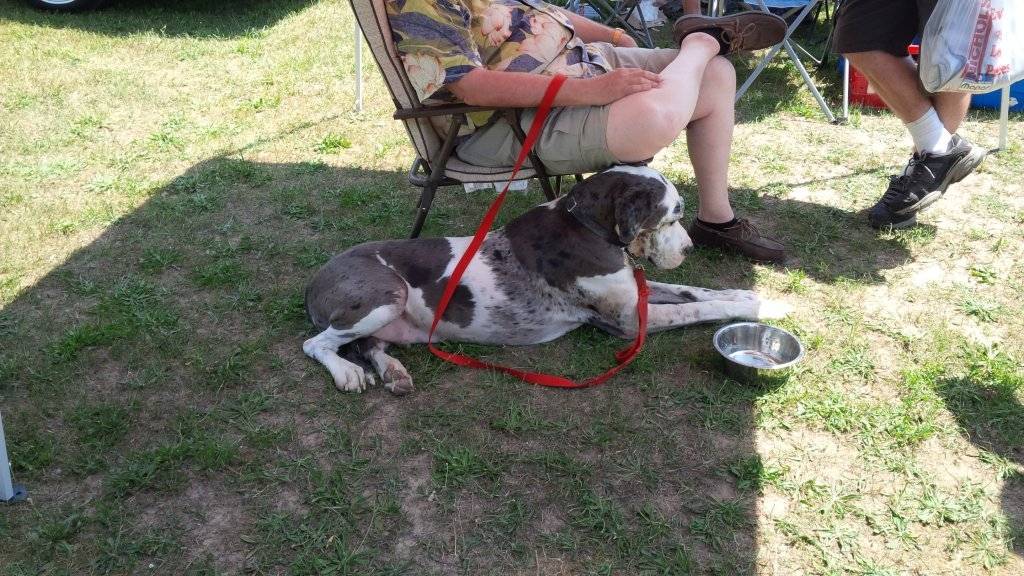 img_20150818_110653-jpg.83841